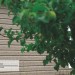Сайдинг Ю-Пласт TIMBERBLOCK Пихта (Тимберблок) Cахалинская купить в Благовещенске