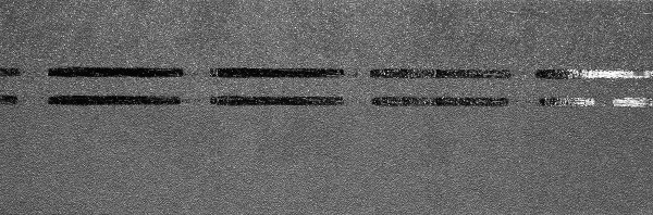 Коньково-карнизная черепица Docke Premium, черника купить в Благовещенске