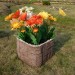 Цветник КАНЬОН купить в Благовещенске