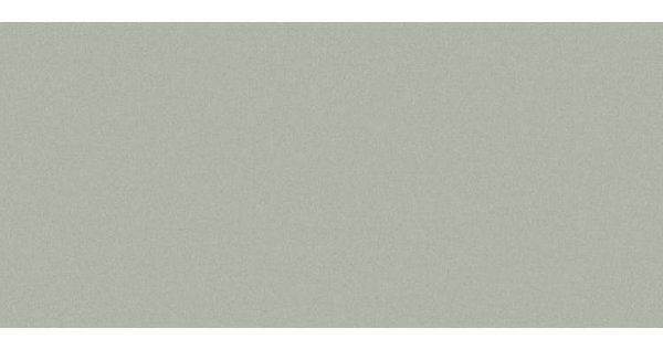 Сайдинг CEDRAL smooth (гладкий) С06 купить в Благовещенске
